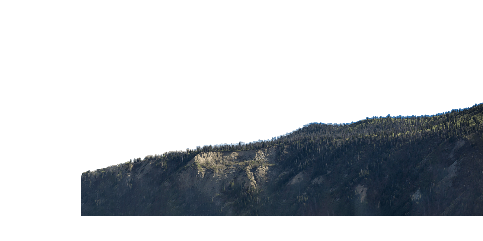 Cut Out of Forest and Cliffs
